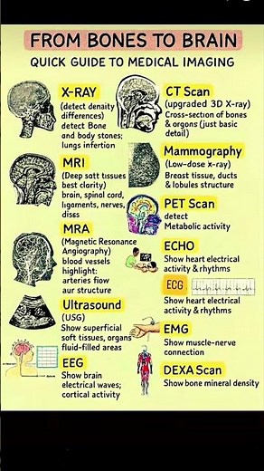 Quick guide to medical imaging