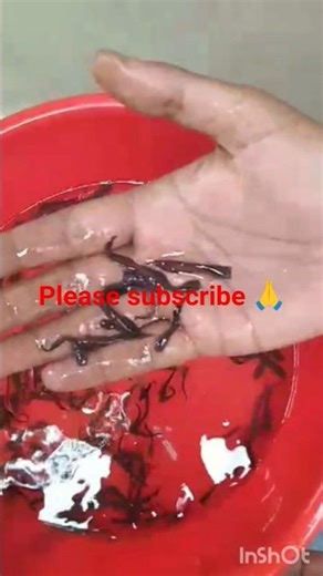 FA9LA sing mach #fish #lifeisbutadream #fishcatching #fishing #koi #fishingtechniques