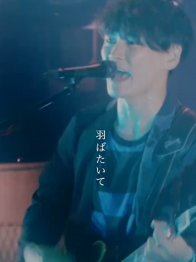 ルーキー サカナクションのフルライブ映像