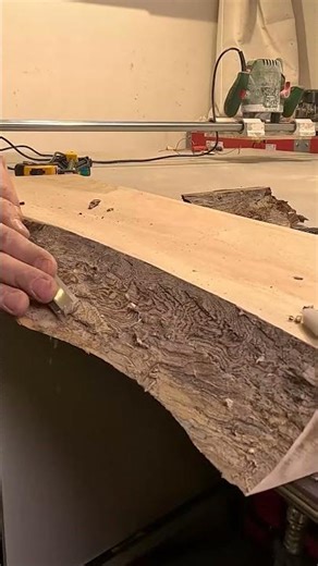 The sound of that scraping is so therapeutic. What a beautiful piece of wood. 🤩