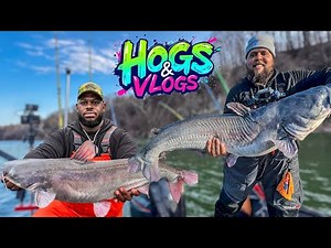 Hogs & Vlogs : Monster Blue Catfish caught on Gizzard Shad and Eel