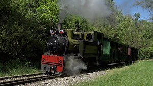 33K views · 688 reactions | This Czechoslovakian tank engine operates at the Hesston Steam Museum in Hesston, IN. | Dynamo Productions | Facebook