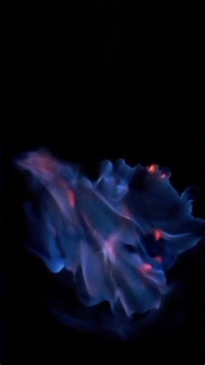 pov : practical science exam😂#science #practical #exam