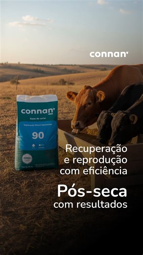 Connan Nutrição Animal on Instagram: "Na cria, a rentabilidade vem de uma recuperação rápida do escore corporal das matrizes no pós parto. Após a seca, a suplementação mineral adequada faz parte de um manejo nutricional estratégico. Connan 90 é a melhor escolha para esse dasafio! Ele proporciona para o rebanho: ✔️ Recuperação pós-seca mais eficiente ✔️ Melhor taxa de prenhez ✔️ Menor intervalo entre partos ✔️ Mais saúde para vacas e bezerros Leve essa solução para sua produção e veja a diferença