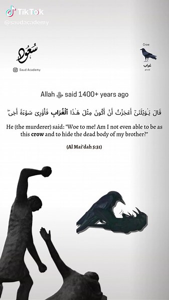 The Symbolism of the Crow in the Quran