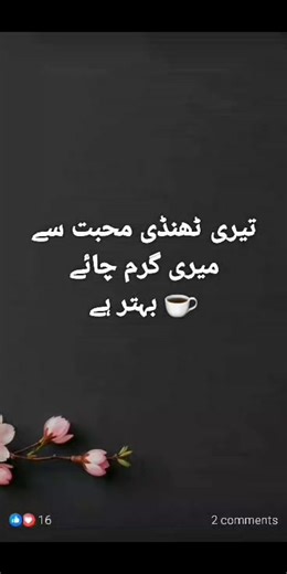 Reena shah | Shah Meer