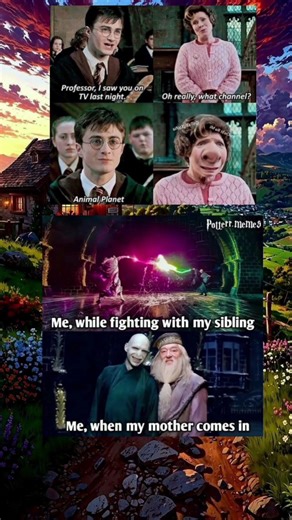 Harry’s Savage Comeback 😂 | From Harry Potter to Instant Silence#shorts #meme #harrypotter #ytshorts