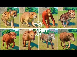 All 138 Cutest Baby Animals Running Animations in Planet Zoo
