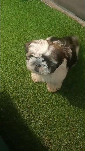 maths main Hara sakte ho but English mein ... please like and subscribe this channel