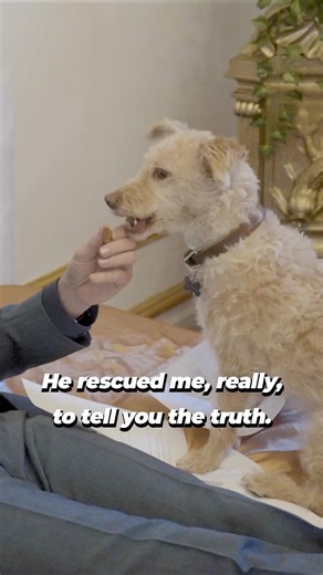 This iconic duo is winning hearts on and off screen 💕 Actor Dylan McDermott was forever changed the day he adopted Otis. Their story is a touching reminder that adopted animals have a way of changing our lives just as much as we change theirs 🐾❤️ #AdoptDontShop https://peta.vg/41a0 | PETA (People for the Ethical Treatment of Animals)