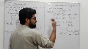 27 reactions | Overdominance, also known as heterozygote advantage or heterozygote superiority, is a phenomenon in genetics where the heterozygous condition (having two different alleles for a particular gene) confers a higher level of fitness or an advantage compared to either of the homozygous conditions (having two identical alleles for the gene). #Overdominance #Dominance #HOB | HOB | Facebook