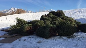 Cities across state offer free Christmas tree recycling