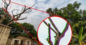 10 Tips for Wide-Angle Landscape Photography