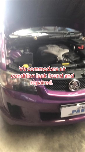 Ve commodore leak found and repaired. | Penrith Auto Electrical