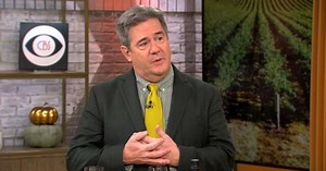 "Food & Wine" executive wine editor reviews his picks for best budget wines