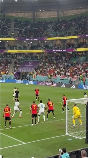 Senegal's INSANE Header vs Belgium! (Live Stadium Reaction) 🇸🇳🇧🇪