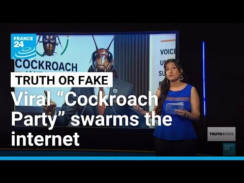 ‘Cockroach Janta Party’: India’s youth turn judge’s jab into viral political movement