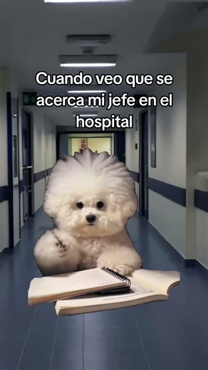 #humor