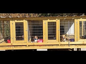 Part 4 Above Ground Kennel Finally Finished