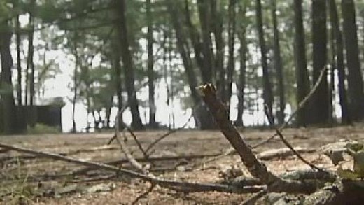 Sebago Lake State Park reservations begin Monday