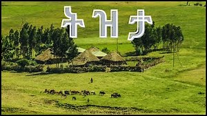 Ethiopian Classical Music Mp3 Download Mp3 & Mp4 Download - clip.africa.com