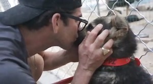 Flashback to May 5, 2017…Yulin Survivor Iron was rescued on May 5, 2017 from a dog meat truck along with 660 other dogs on their way to the Yulin Dog Meat Festival. Iron was so terrified when first rescued… but with love and kindness, she began to trust…and eventually, love. Iron flew to freedom with the Divine 9, thanks to the Klein family…Iron lives in NJ with her momma Sue. Watch Divine 9 part 1 on YouTube to see Iron’s home story 👉🏻 https://youtu.be/Rt0v_91Ut7w Our supporters, along with o