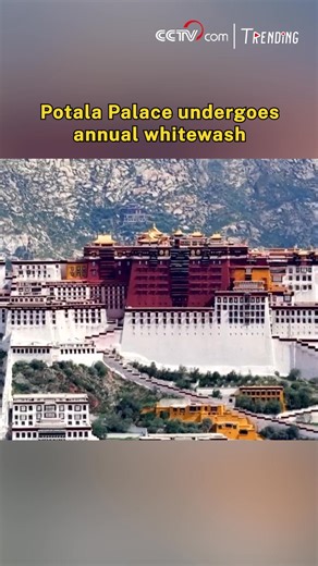 5.7K views · 48 reactions | The annual renovation of Potala Palace began recently in Lhasa, southwest China's Xizang Autonomous Region. It usually takes about a dozen days to paint the palace, a UNESCO World Heritage Site, in preparation for the forthcoming "Lhabab Duchen," which is believed to be the day the Buddha descended from the heavens and is one of four annual festivals celebrating important events in his life. #Trending | CCTV | Facebook