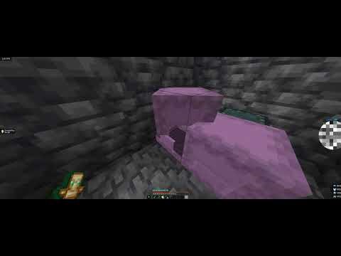 NEW DonutSMP DUPE Glitch (Not Patched)