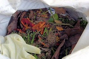 Summit Is Thinking Spring With Upcoming Events