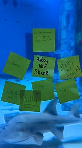 1.6K views | Beti XSEAX 麗 | SEA LIFE London Aquarium™ | Facebook