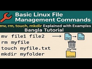 Basic Linux File Management Commands | mv, rm, touch, mkdir Explained with Examples