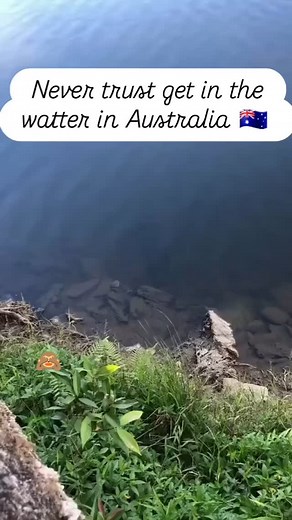 📸 @blogdoalessandru | For Pets Sake! Pet Minder