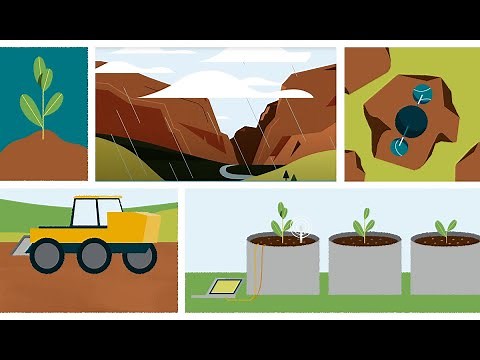 Science in Motion: Can enhanced weathering help slow climate change?