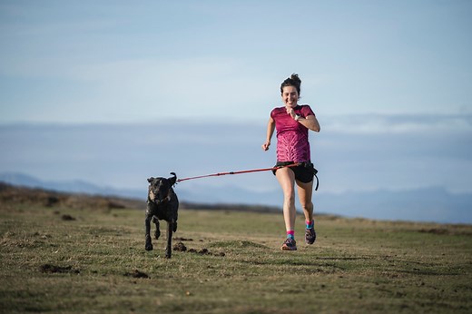 Las 23 mejores razas de perros para salir a correr por la ciudad o por la montaña