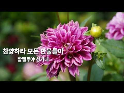 찬양하라 모든 만물들아 / 인천 신현감리교회