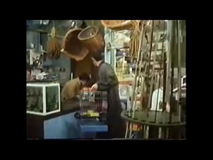 POLLY:NIRVANA.MONTY PYTHON:PARROT SKETCH