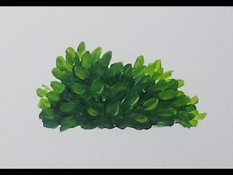 How to Paint a Leafy Bush with Acrylics | Easy Painting Tutorial for Beginners