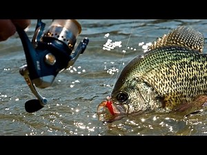 9 Killer Crappie Lakes in the Upper Midwest