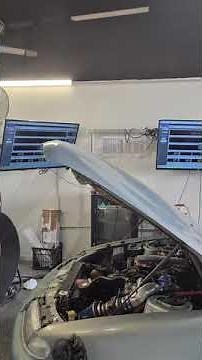 Raptor powered vs commodore