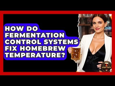 How Do Fermentation Control Systems Fix Homebrew Temperature? - The Pint Guy