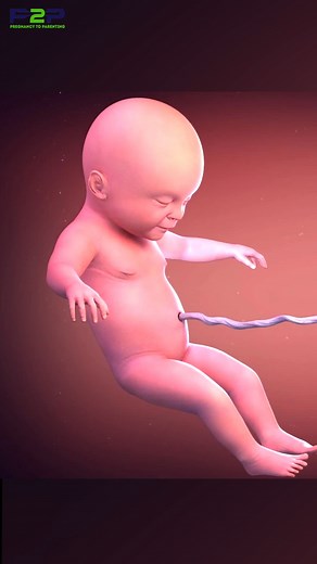 Amazing! #pregnancy #pregnancyjourney #PregnancyToParenting #reels | Pregnancy to parenting