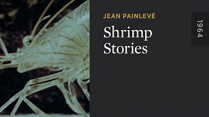 Shrimp Stories