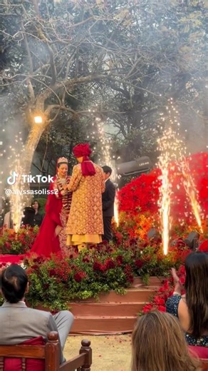 Vidhusi Rana Daughter's Wedding Highlights