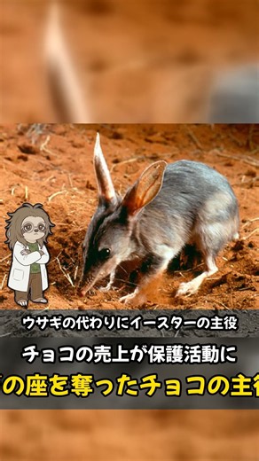 袋が逆向きなミミナガバンディクートの雑学3選