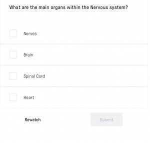 What are the main organs within the Nervous system?NervesBrai... | Filo