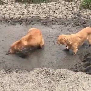 Sujar faz bem :P | Criatives