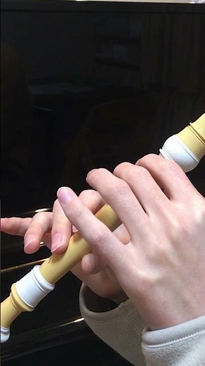 エヴァ 次回予告BGM をリコーダーで吹いてみた