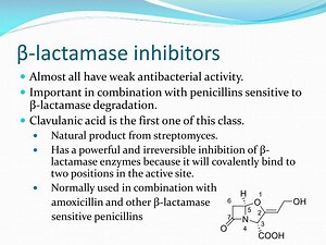 β -lactamase inhibitors - SlideServe