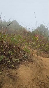 Exploring Manipur on Reels
