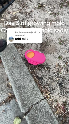 GrowingMold on TikTok